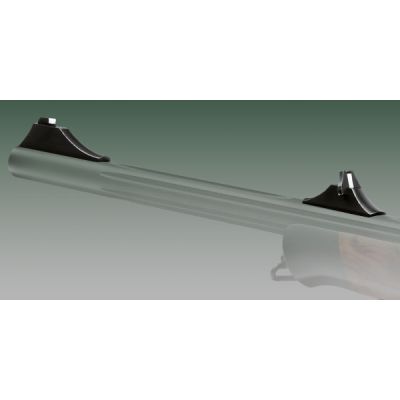 Blaser R8 Professional