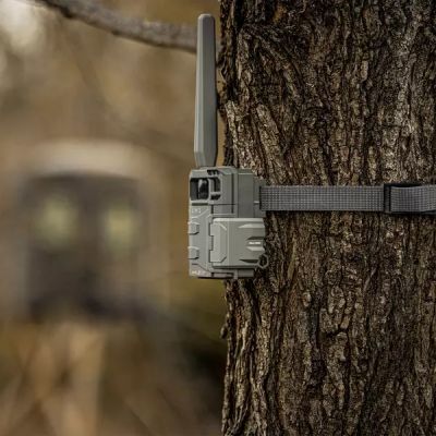 Fotopasca SPYPOINT LM2 20 Mpx 4G - SIM karta ZADARMO